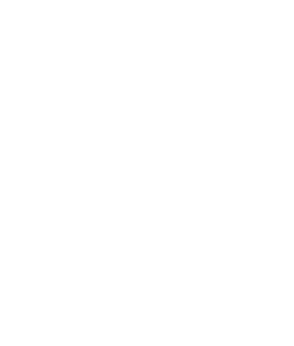 INFINIBOX SSA